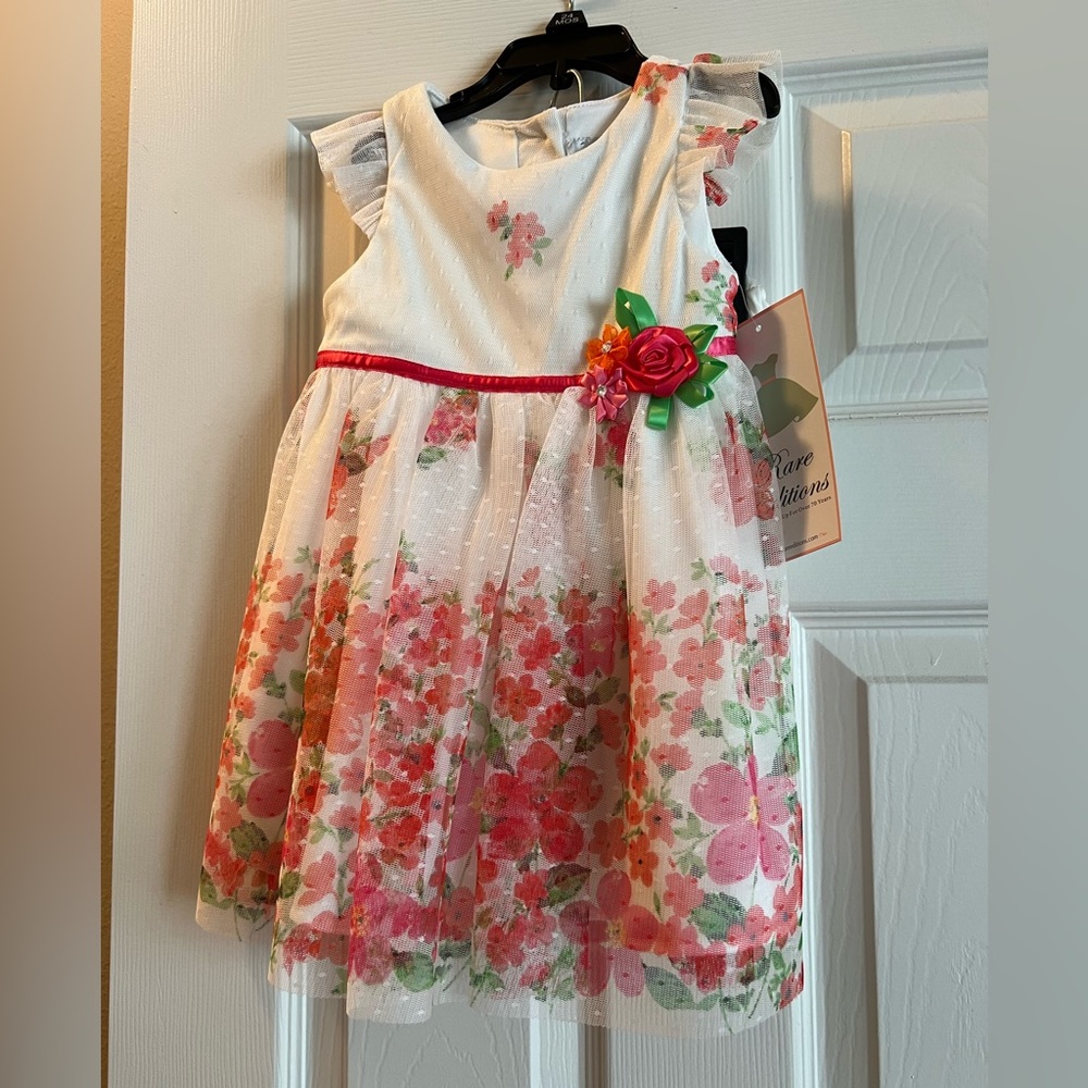 NWT Rare Editions Spring dress 24 months